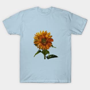 sunflower T-Shirt